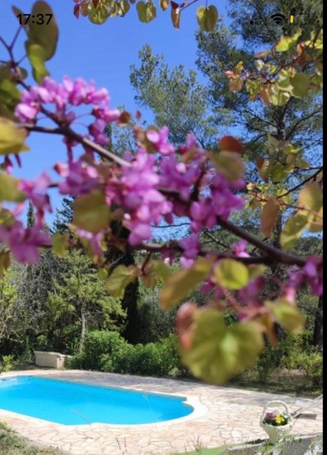 Villa Avec Piscine Au Calme Seillans Bagian luar foto